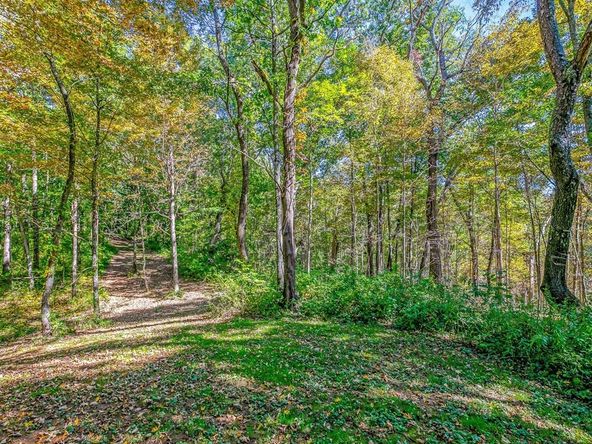 237 Ratcliff Cove Rd., Waynesville, NC 28786